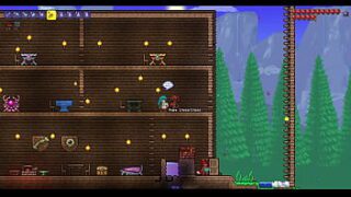 R34categoryvideos terraria